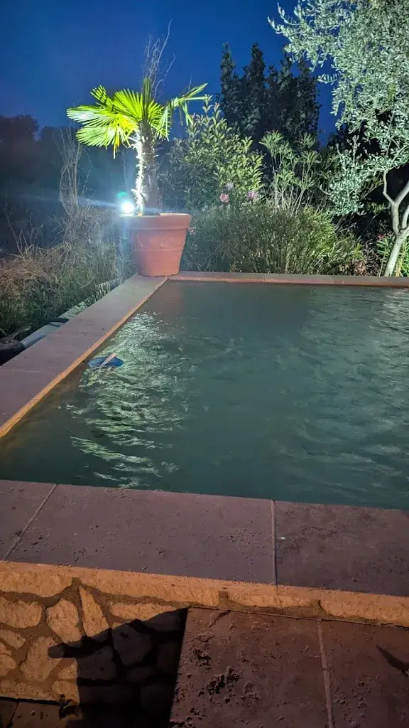 CHRISTEL ROYER_Auberge des Savoyants_Puy-Sainte-Réparade_review