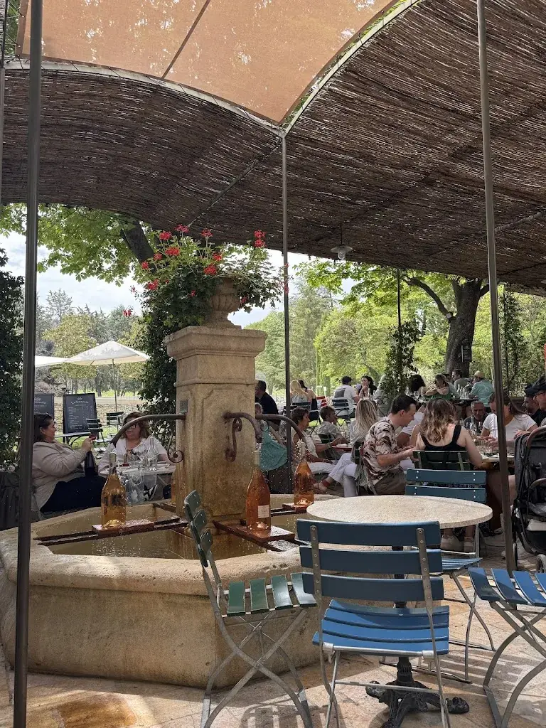 Ellen J. Snyder_La Terrasse Provençale_Puy-Sainte-Réparade_review