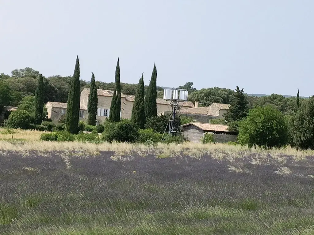 Corinna Blaser_Au Jardin Napoli_Thor_review