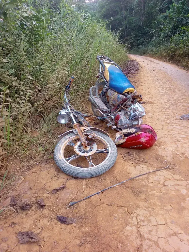 Le 28 Food restaurant in Marseille