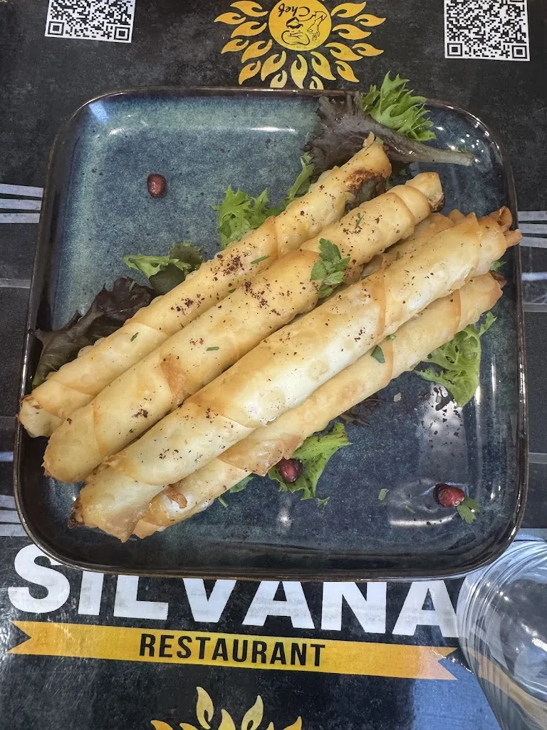K Penz_RESTAURANT SILVANA_Marseille_review