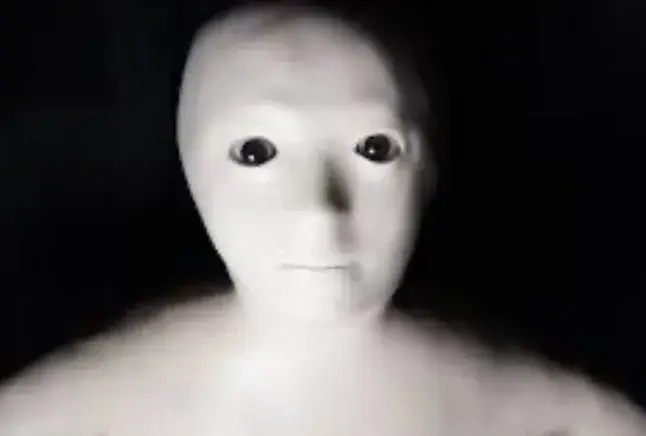 Exoo Croox_La Grillade du Dôme_Marseille_review