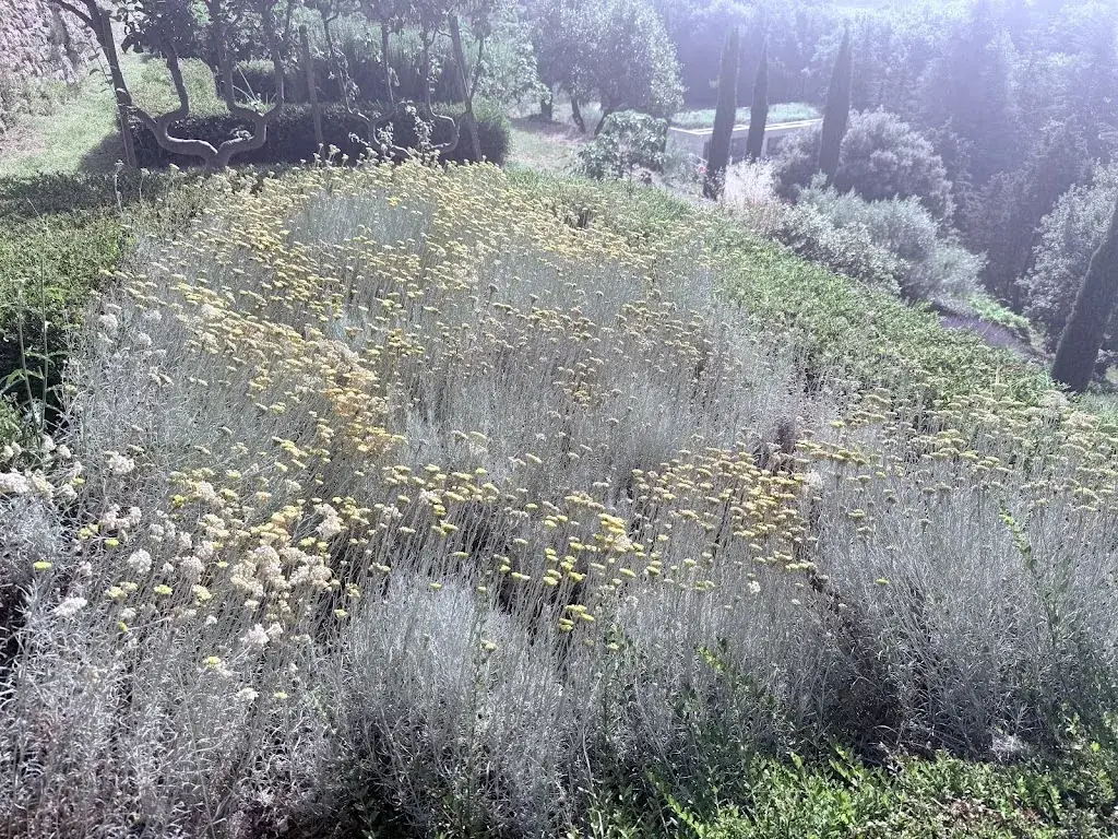 Kathleen Morris_Le Couvent Des Minimes, Un Hotel & Spa Occitan En Provence_Mane_review