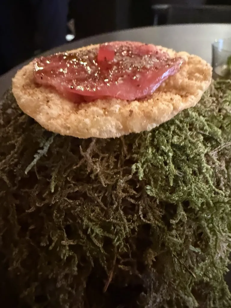 Brant Brown_AM par Alexandre Mazzia_Marseille_review