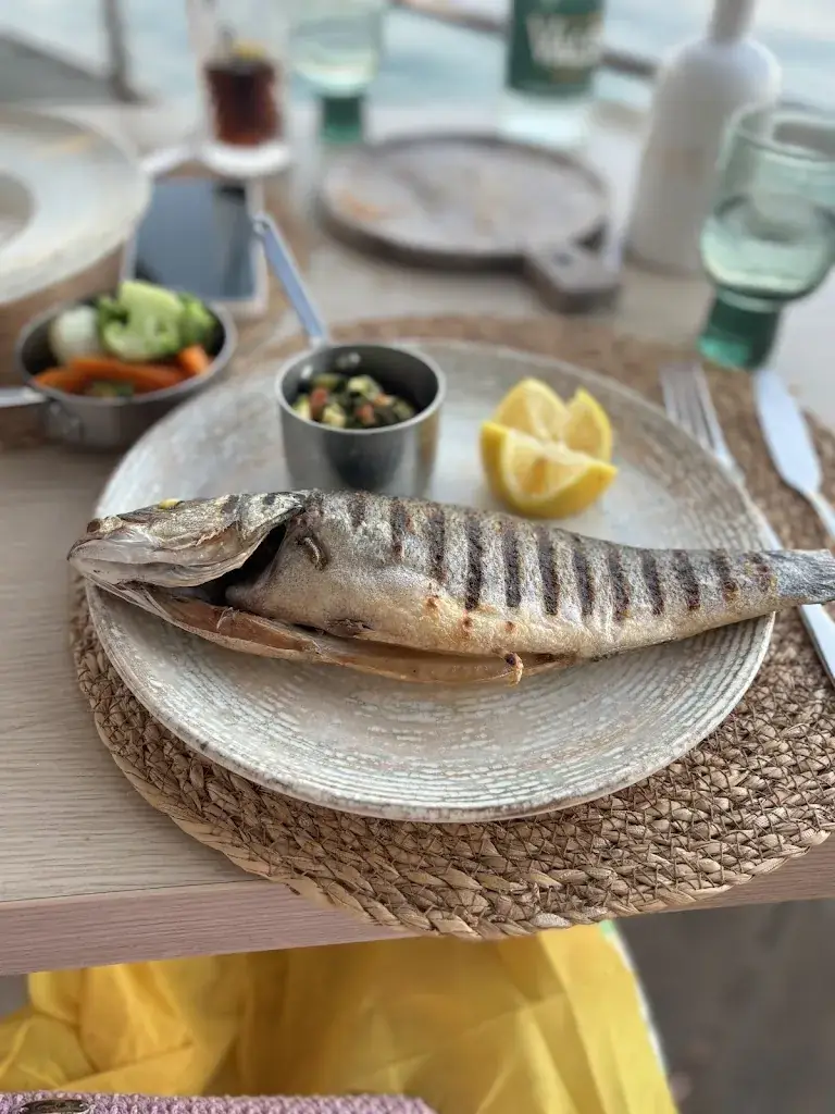 Renata Nagy_Le Repère_Mandelieu-la-Napoule_review