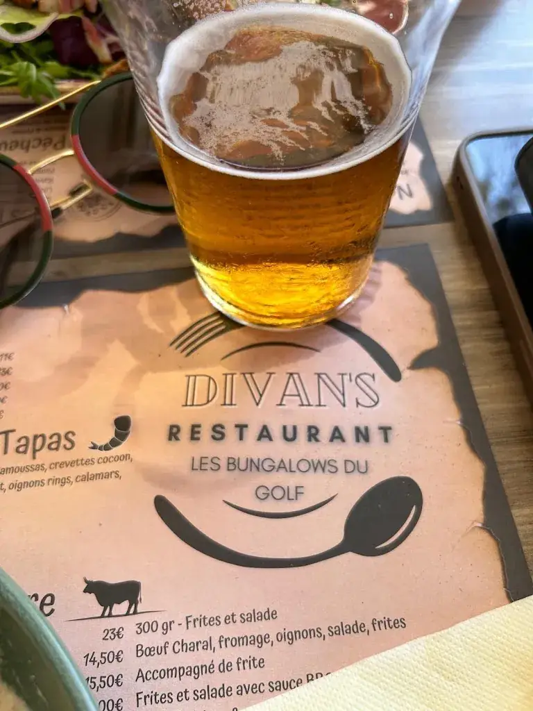 Howard Leach_divan's_Mandelieu-la-Napoule_review