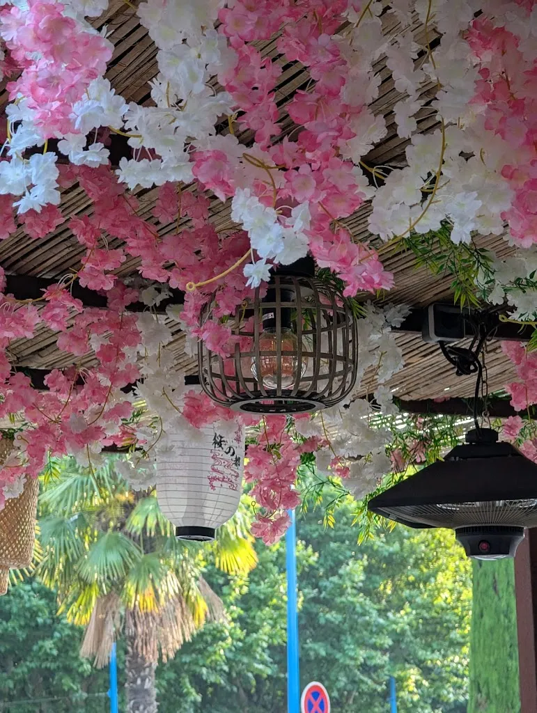 Simbca_South side sushi_Mandelieu-la-Napoule_review