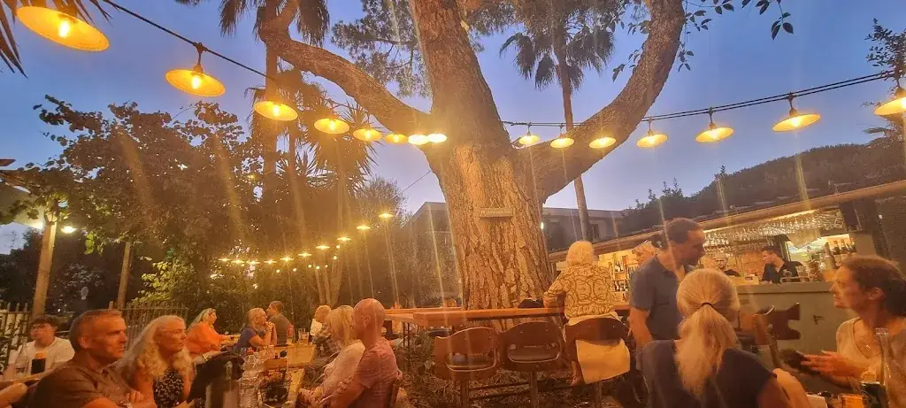 Stefan Rados_La Canisse_Mandelieu-la-Napoule_review