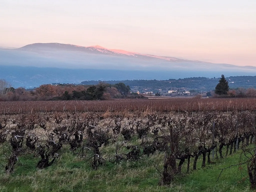 CEDRIC DENOUEL_Château La Croix des Pins_Mazan_recensione