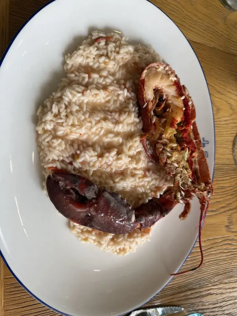 Tintin Lechien_Les Enfants Terribles_Menton_recensione