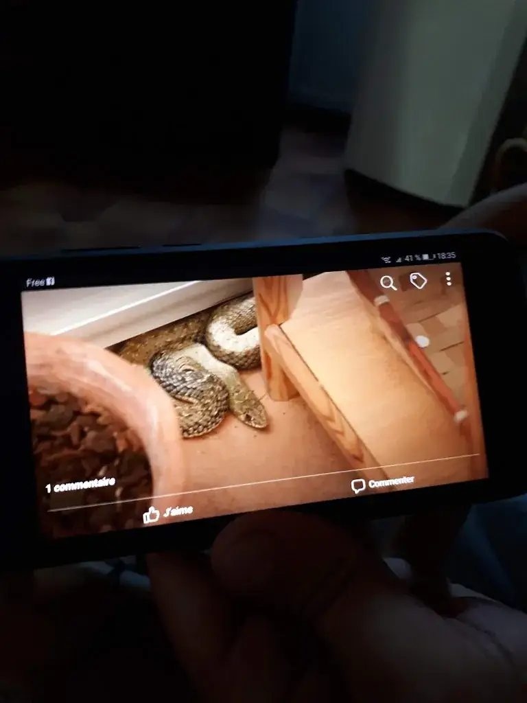 Le Bistrot Lou Pais_Meyrargues_slider_image_1