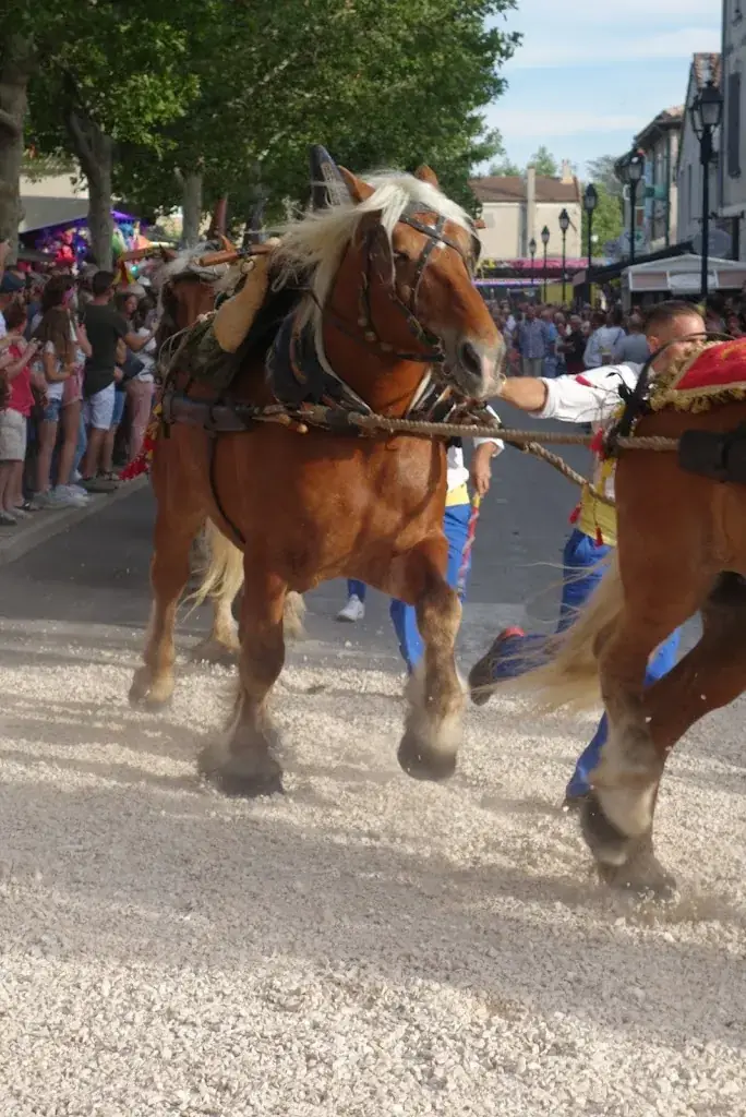 Café le B4..._Mollégès_slider_image_2