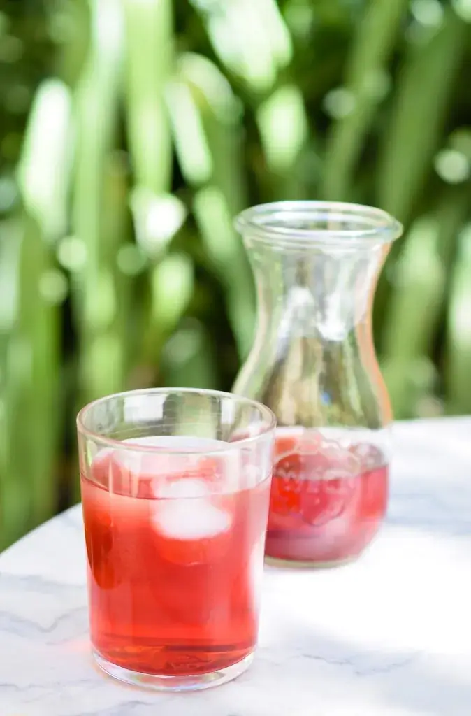 Menu_Vivotto (Agroparc)_Avignon_image_9