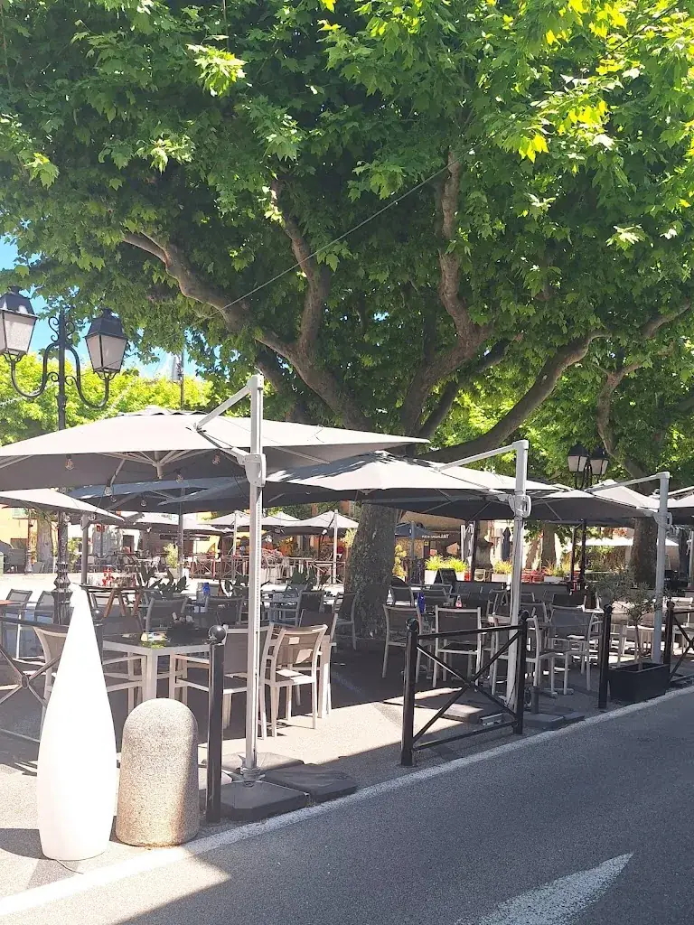 Patricia Sud_ROMI Carré d'Art_Mouans-Sartoux_Bewertung