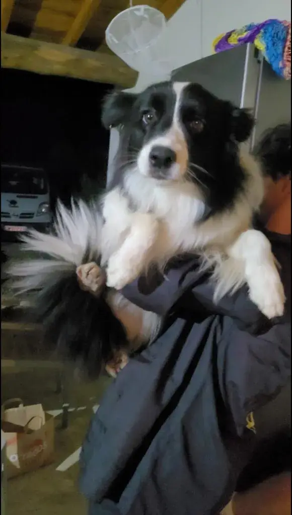 Nilaz_Roman Le Bg_Mouriès_review