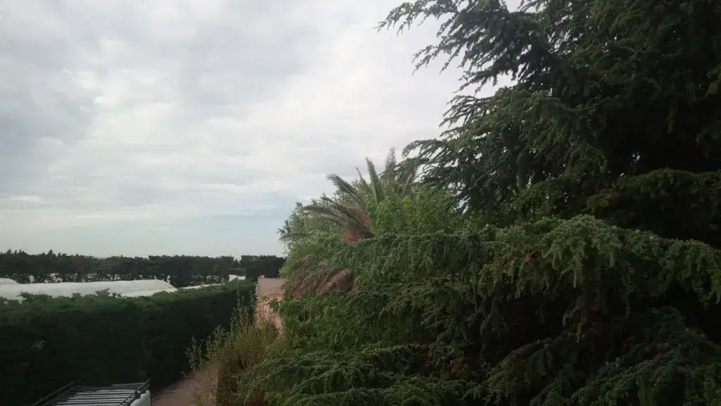 Roman Le Bg_Mouriès_slider_image_2