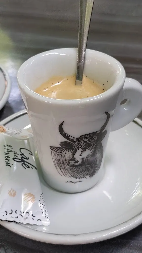 Café de l'Avenir Restaurant in Mouriès