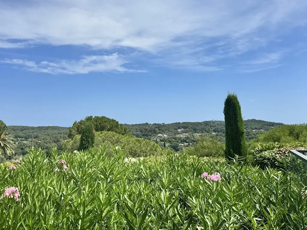 jeannine searle_Bohème_Mougins_recensione