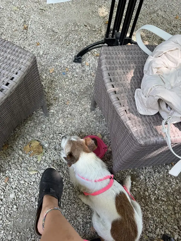 Eleonora Marsella_Le relais de la bassaque_Noves_review