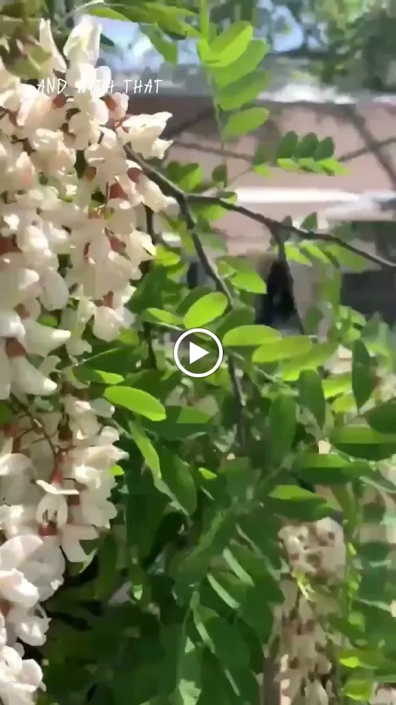 Restaurant des Arcades_Orgon_slider_image_2