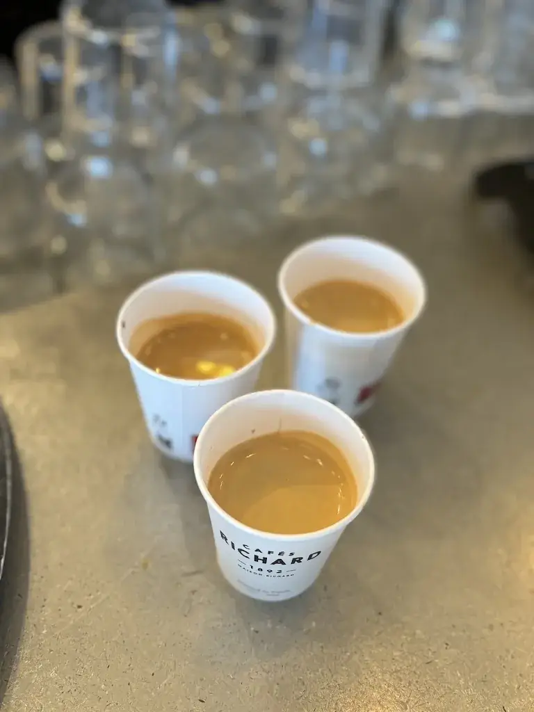 Stella Esplosiva (Laura PeGr)_Le Soleil d'Or_Paris_review