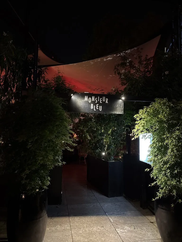 van sang nguyen_Monsieur Bleu_Paris_review