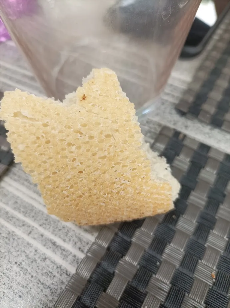 Menu_Hôtel Le Mistral_Peipin_image_4