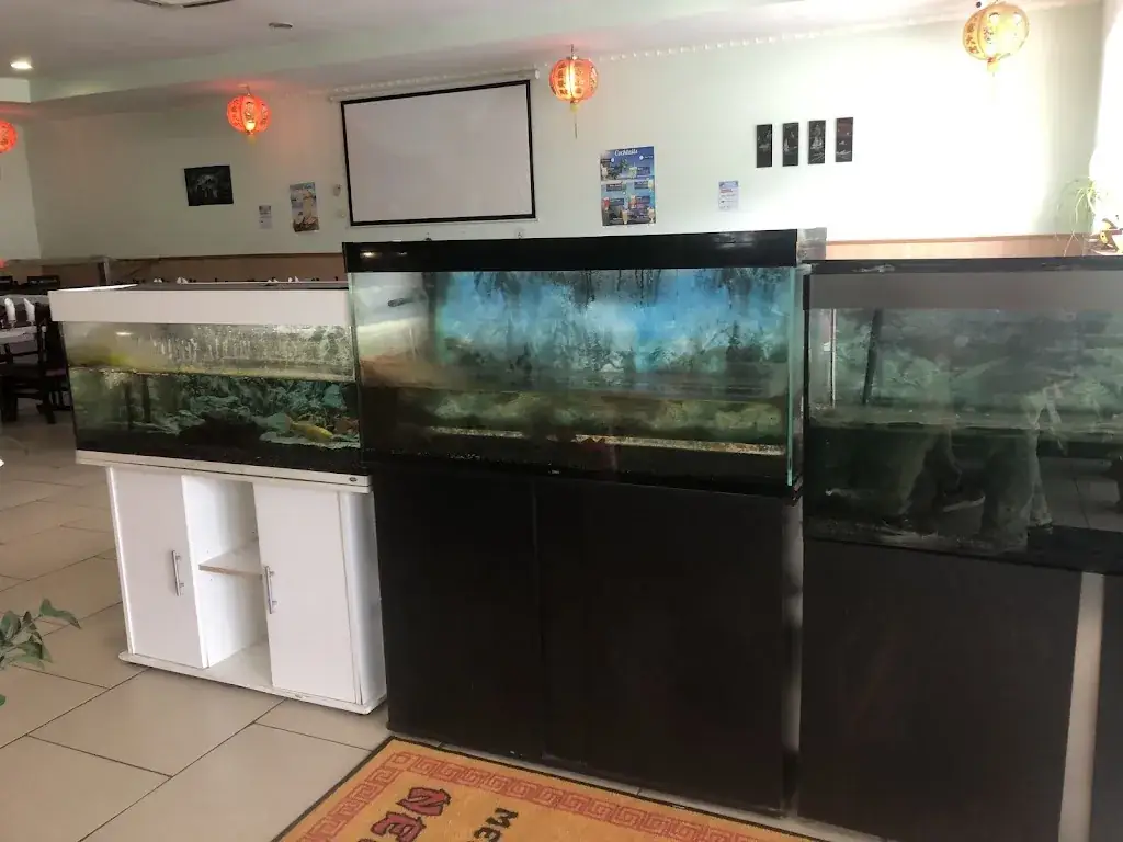 Jade Poulain_New Wok Buffet - Restaurant asiatique à Peipin_Peipin_review