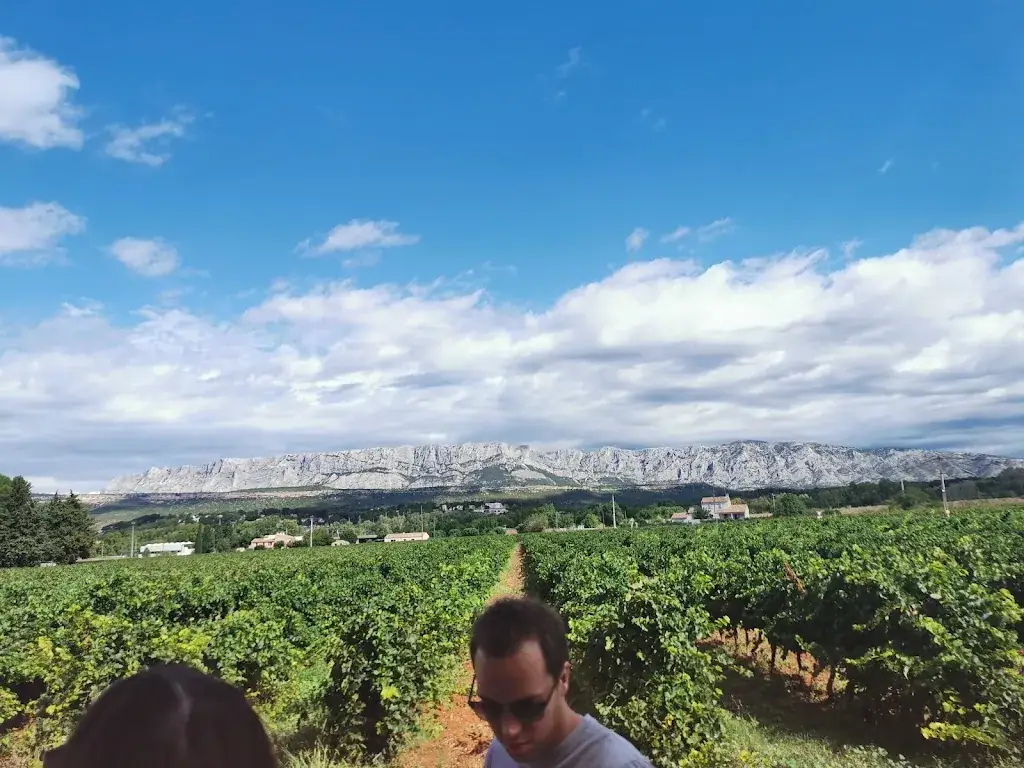 Wietse Bonnaerens_Domaine Terre de Mistral_Rousset_recensione