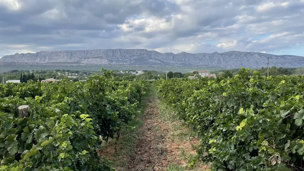 William Carpenter_Domaine Terre de Mistral_Rousset_recensione