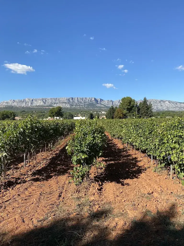 Viktorija Rastauskaitė_Domaine Terre de Mistral_Rousset_recensione