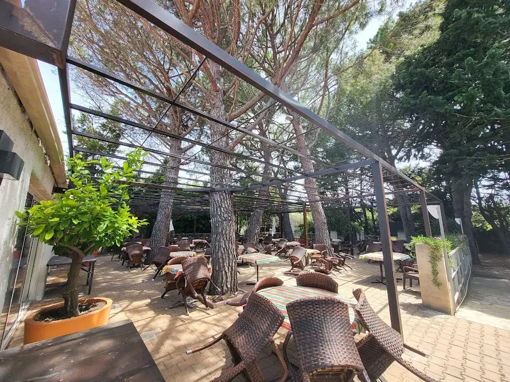 didier paya_Le Vincennes_Salon-de-Provence_review