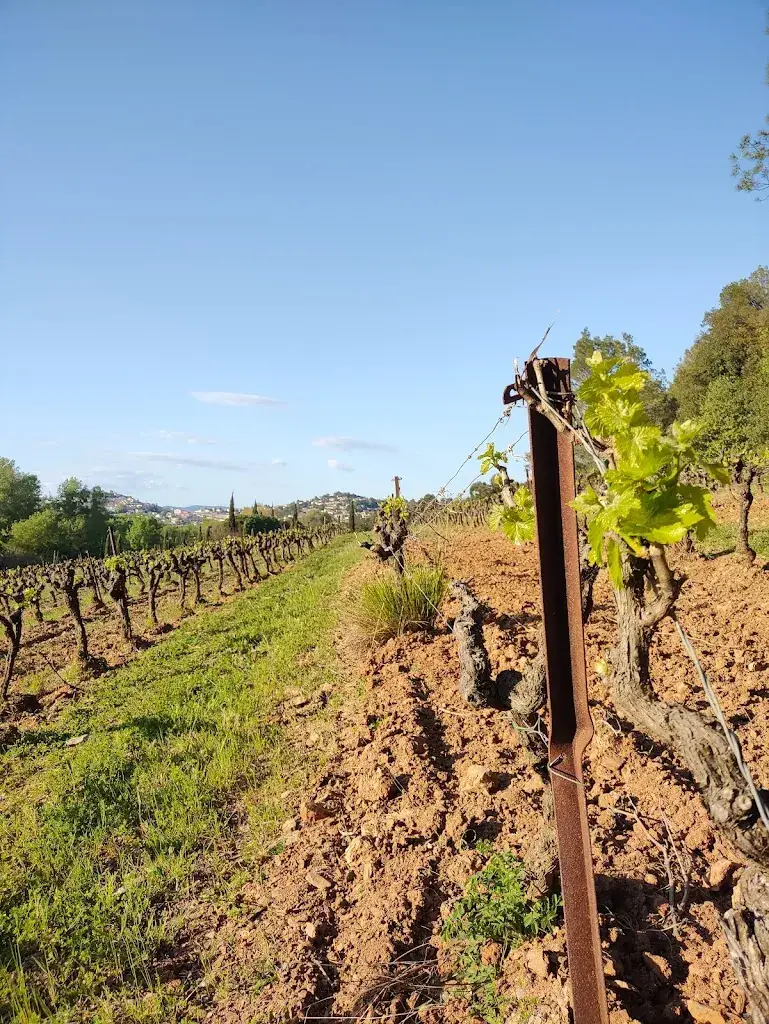 Daniel Schäfer_Domaine du Pourret_Pierrefeu-du-Var_review