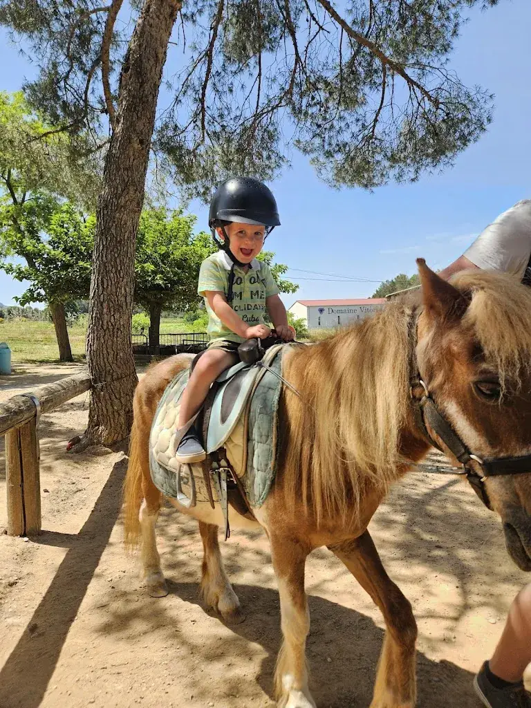 oc 69_Le Cabanon Enchanté_Pourrières_review