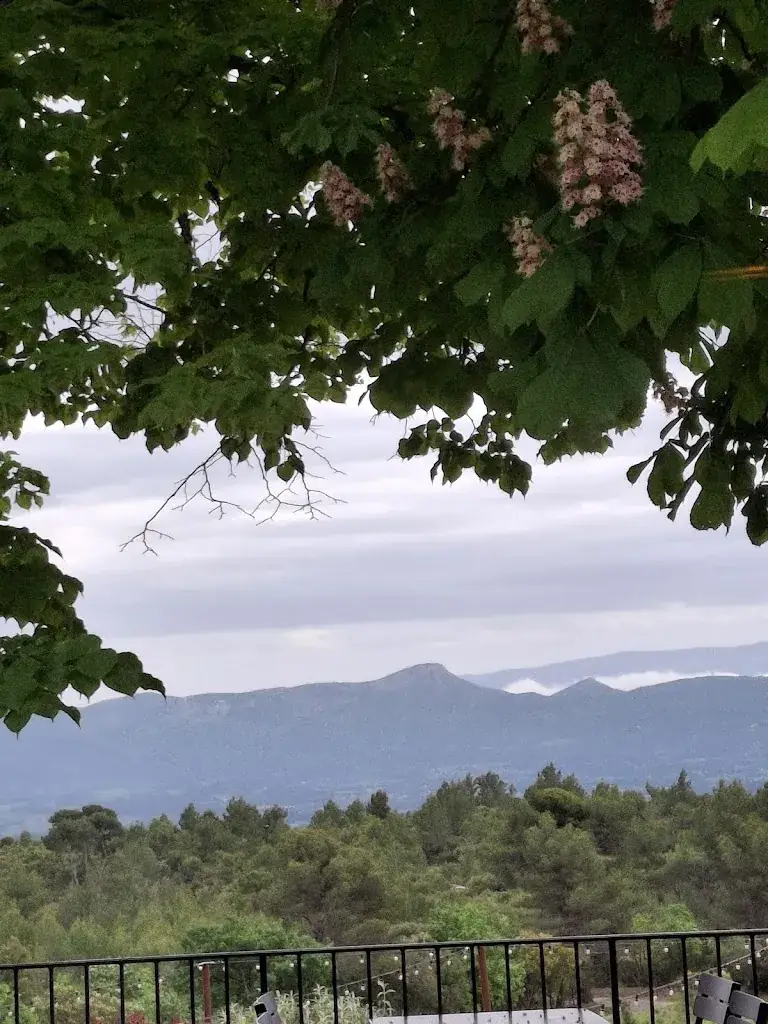 Anzie Dodge_Le Relais de Saint Ser_Puyloubier_reseña