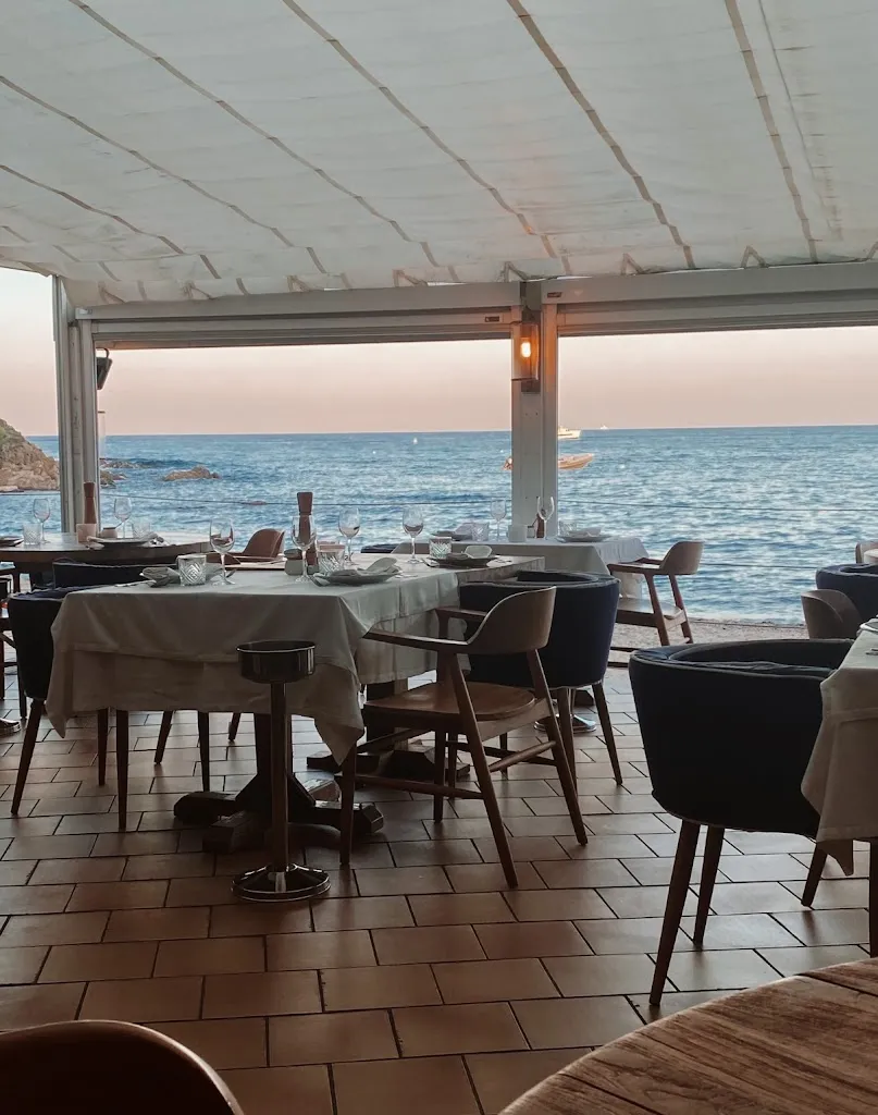 Maryna Balluch_Chez Camille - Restaurant de Bouillabaisse et Fruits de Mer à Ramatuelle_Ramatuelle_review