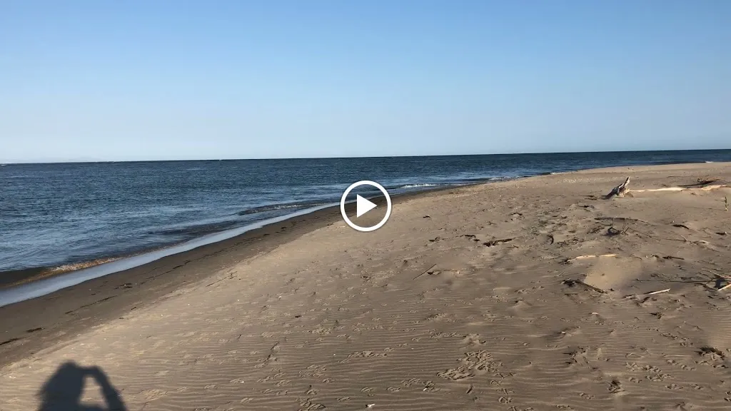 Hôtel-Restaurant La Plage - Port Saint Louis du Rhône ristorante a Port-Saint-Louis-du-Rhône