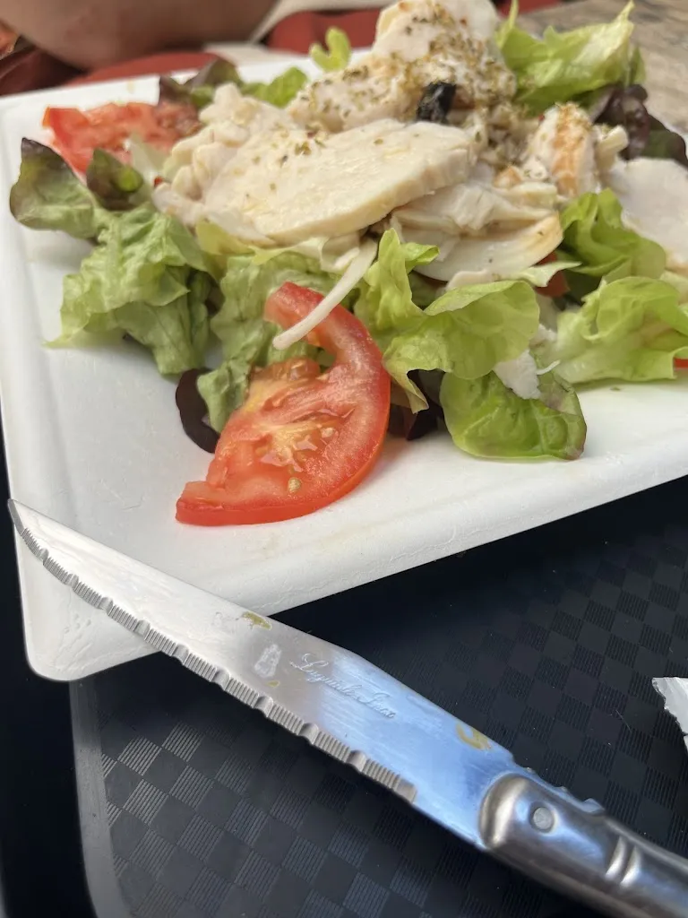 Rosa Savelli_Le Central_Riez_review