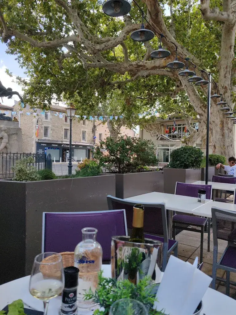 Chat_Le Bistrot du Canotier_Rognonas_review