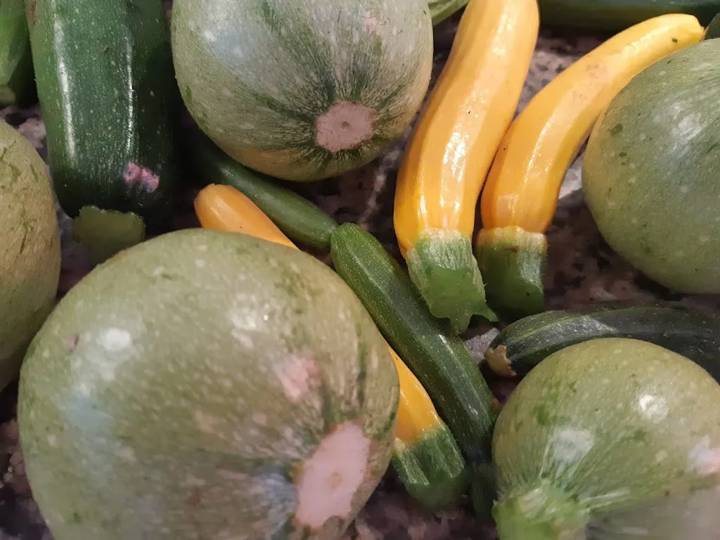 Menu_Pizza du stade chez Lise au feu de bois_Rougiers_immagine_7