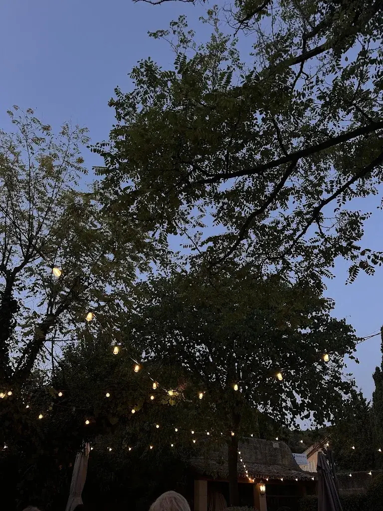 charlotte danse_La Bastide Bleue - Restaurant_Séguret_review