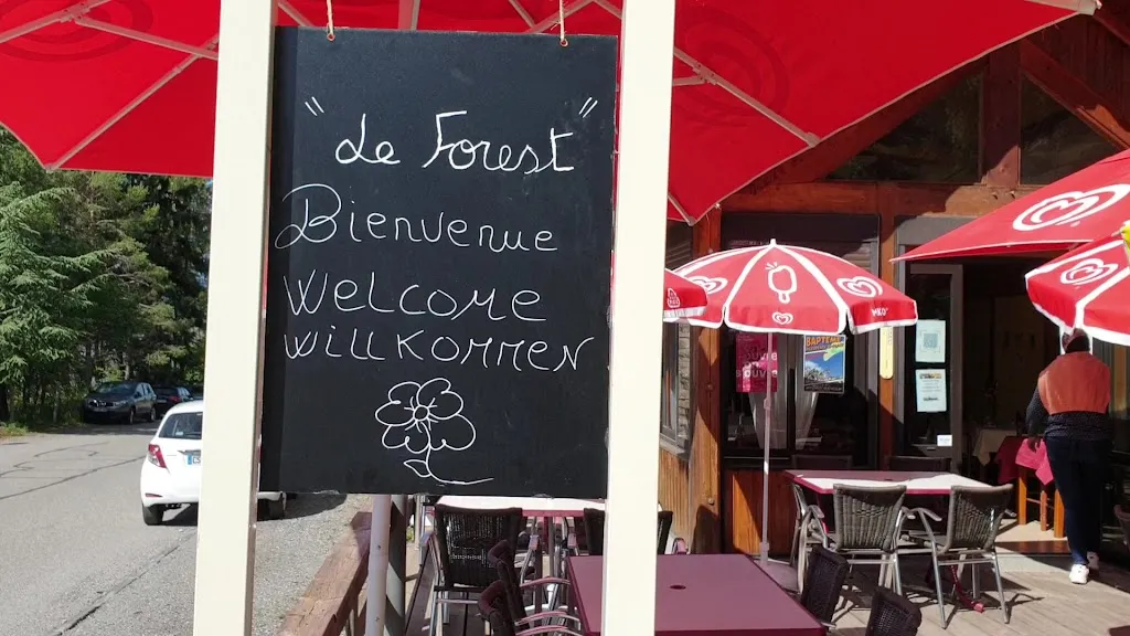 Le forest_Saint-Michel-de-Chaillol_slider_image_2