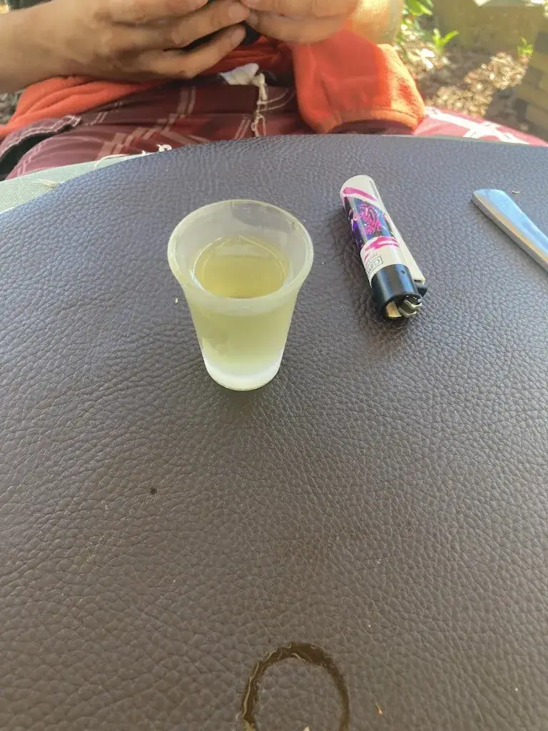 Laurianne Born_Le Petit Renard_Laye_review