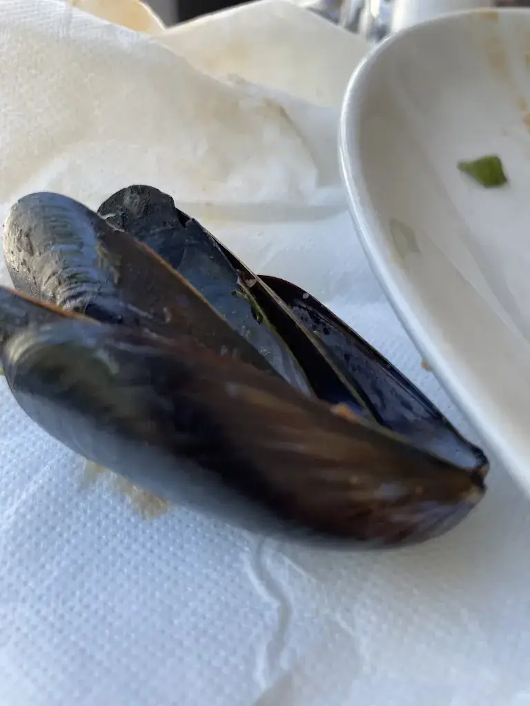 andreas freidig_Bar Restaurant du Champ de Mars_Saint-Chamas_review