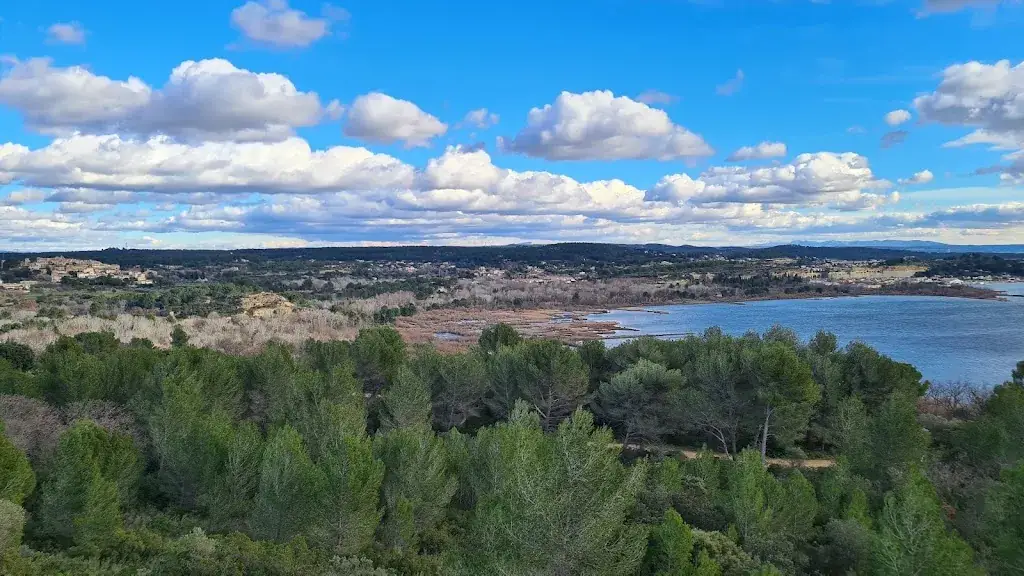 Jules_Le Bistrot De Provence_Saint-Chamas_review