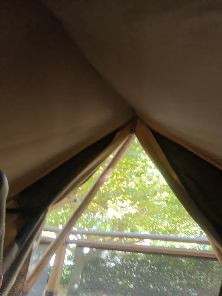 Hélder Cunha_Deslys Claude_Saint-Étienne-du-Grès_review