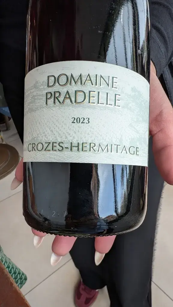 Behnam Shahossini_Restaurant Le Saint Jean_Saint-Jean-Cap-Ferrat_review