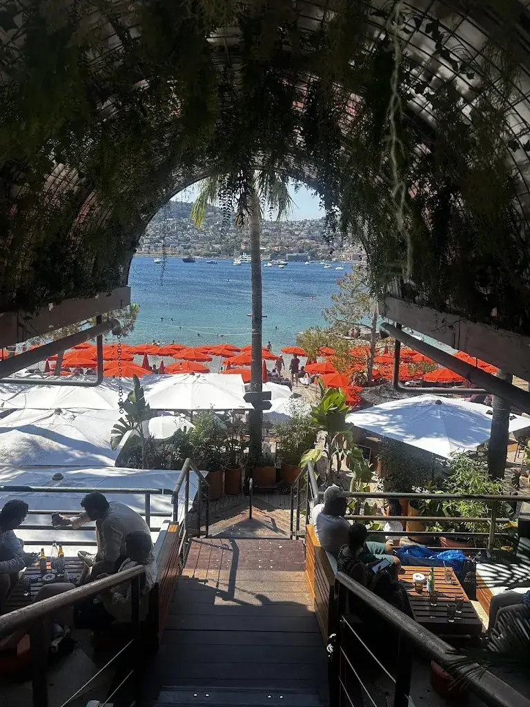 Ellouise Smith_Plage de Passable_Saint-Jean-Cap-Ferrat_avis