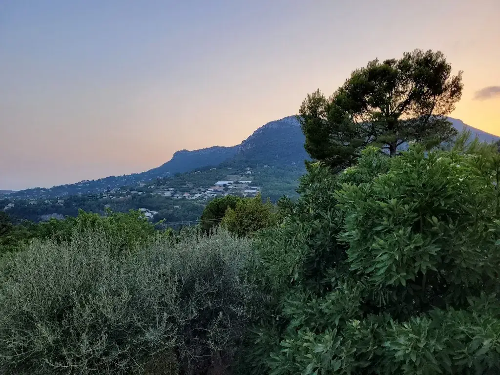 Firework33 -_Avocado Hotel Bar & Restaurant Saint-Jeannet_Saint-Jeannet_review