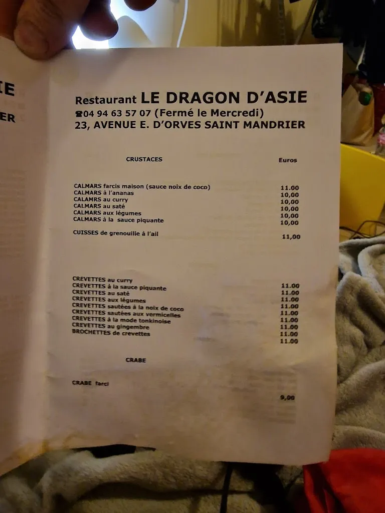 Menu_Restaurant Dragon d'Asie_Saint-Mandrier-sur-Mer_image_3